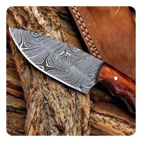 knife dama